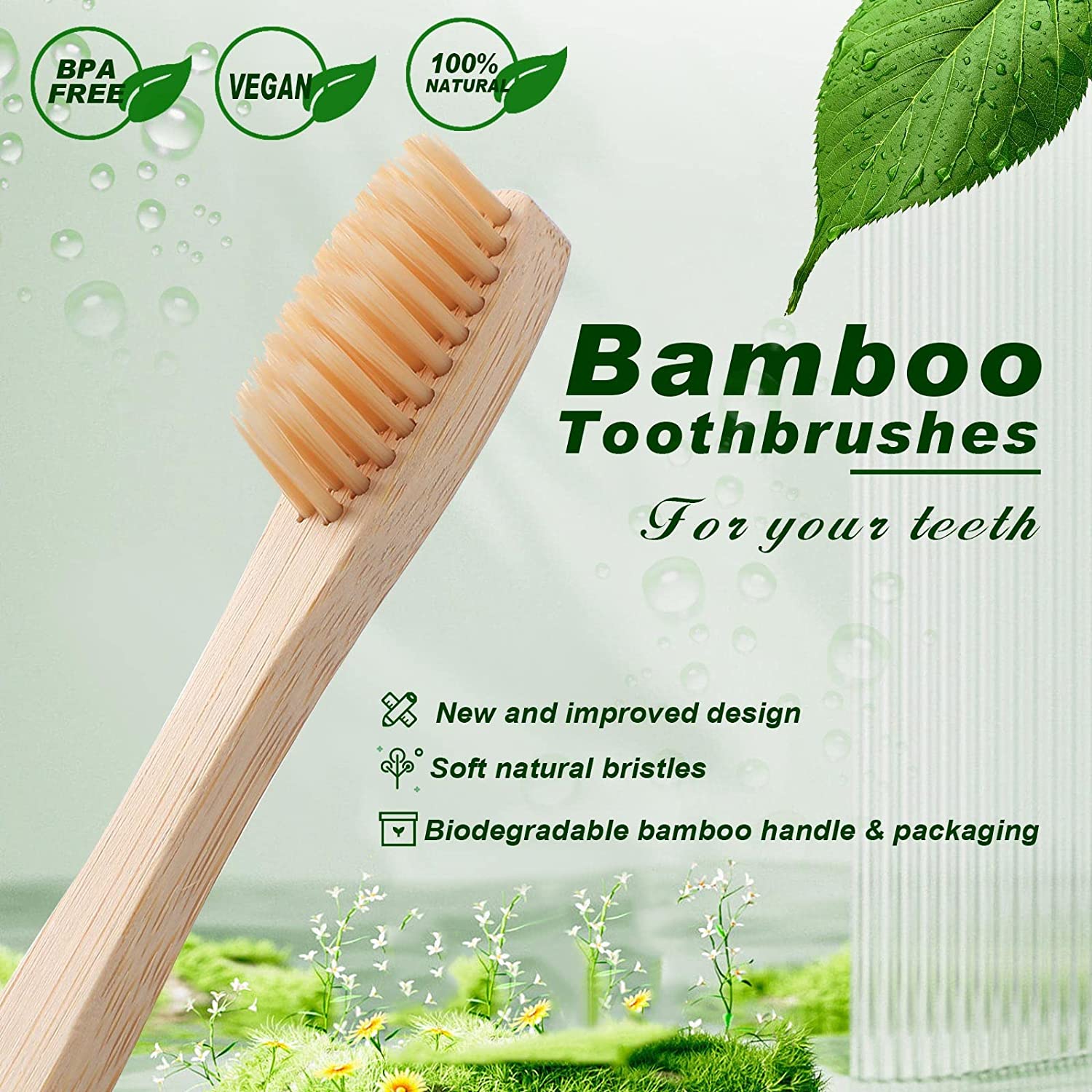 Brosse à Dents en Bambou avec  - Bamboo Toothbrush Set avis et prix