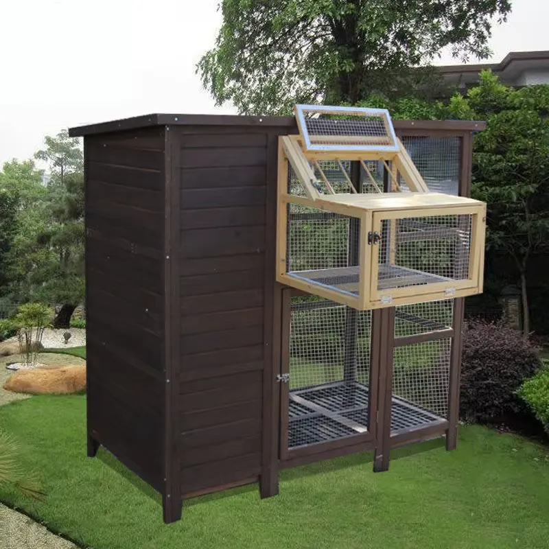 Cage à oiseaux domestique comb - Sustainable Living House avis et prix