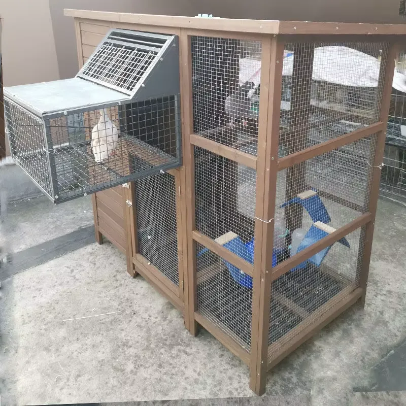Cage à oiseaux domestique comb - Sustainable Living House avis et prix